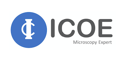 logo_icoe_web