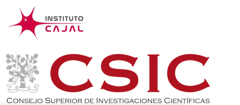 CSIC II