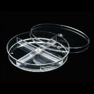 Placa Petri 90 x 15 mm, cuatro compartimentos