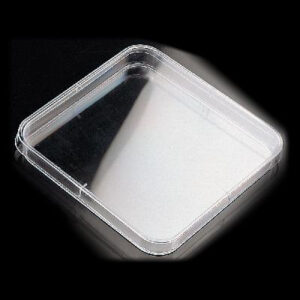 Placa Petri cuadrada 120x120