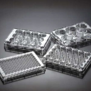 Placas multipocillos para cultivo celular