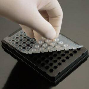Alfombrilla selladora para placas PCR